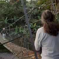 Nicaragua Cloud Forest