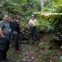 Nicaragua Cloud Forest
